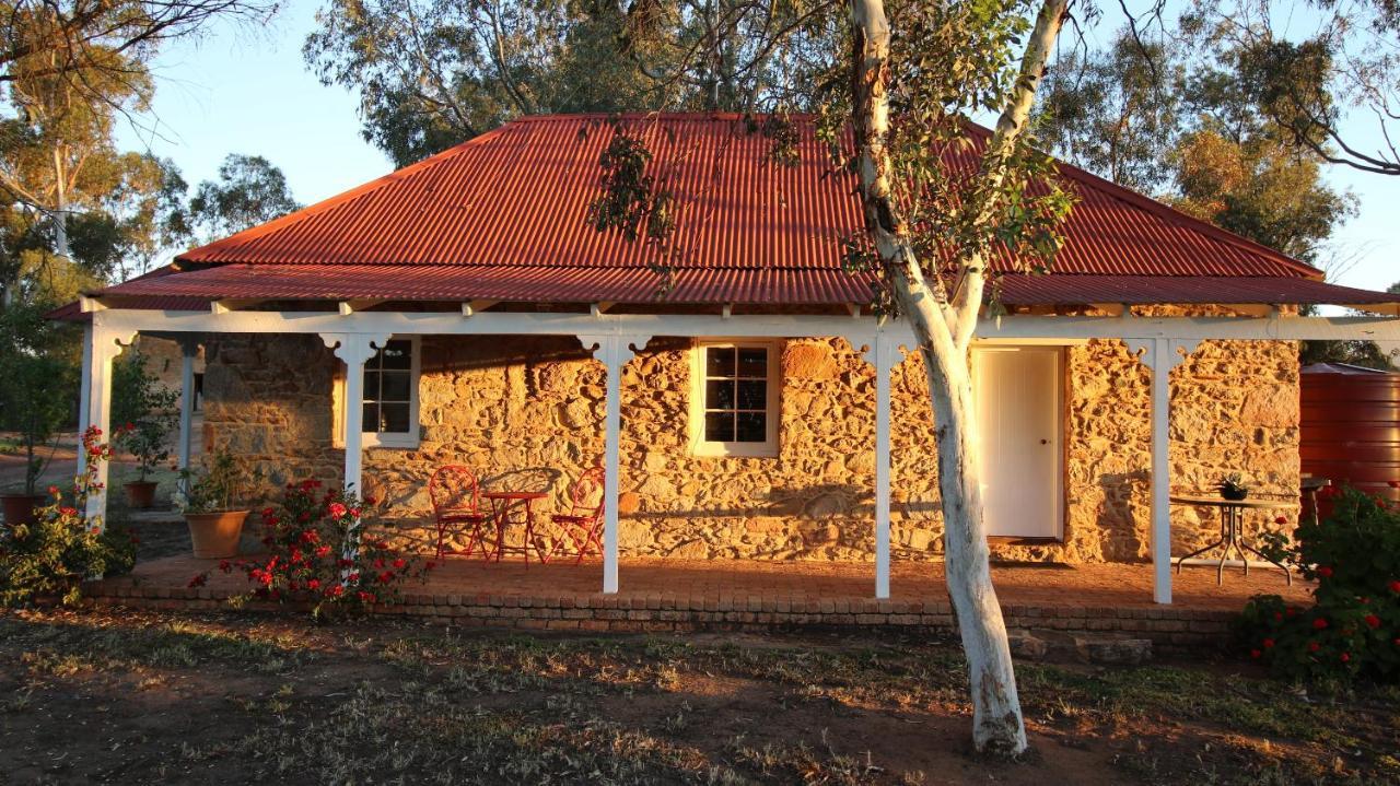Dempster Cottage Irishtown Extérieur photo